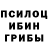 Псилоцибиновые грибы прущие грибы Valesky