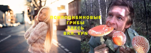 бутират Алексин