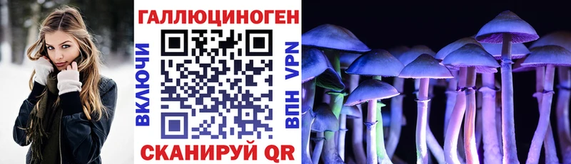 Псилоцибиновые грибы мицелий  сколько стоит  Кирсанов 